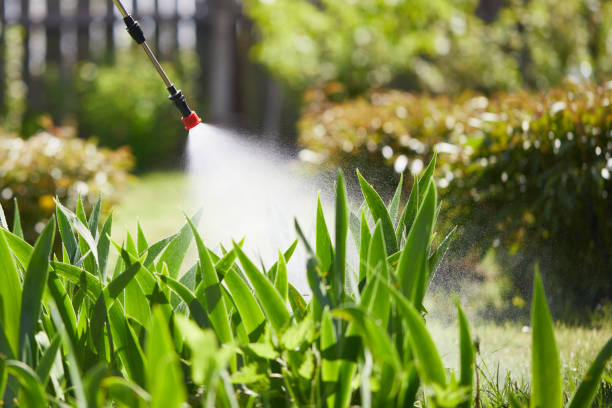24/7 Emergency Mosquito Control experts in Beaver Dam, WI
